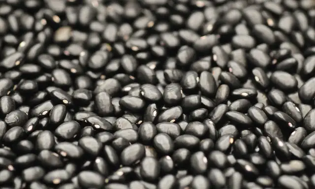 Grãos de feijão preto